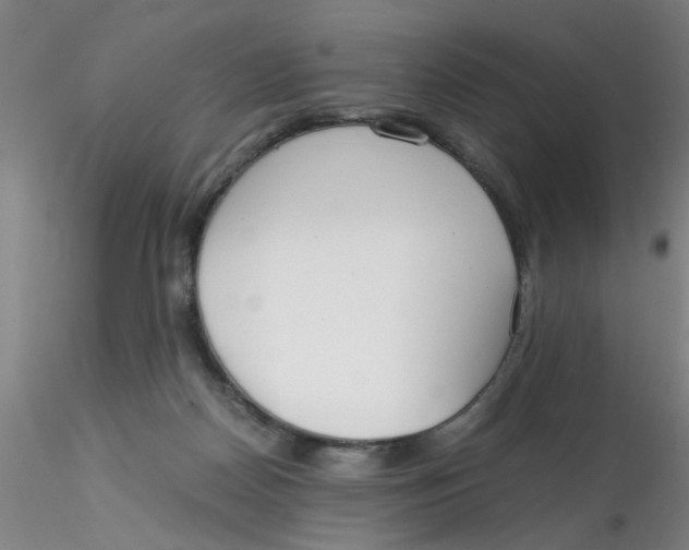 X0000115210170200911251516