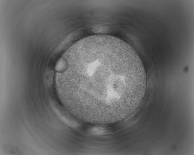 X0000115210171200911251516