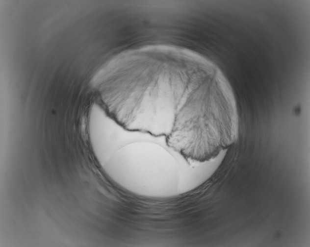 X0000115210173200911251516