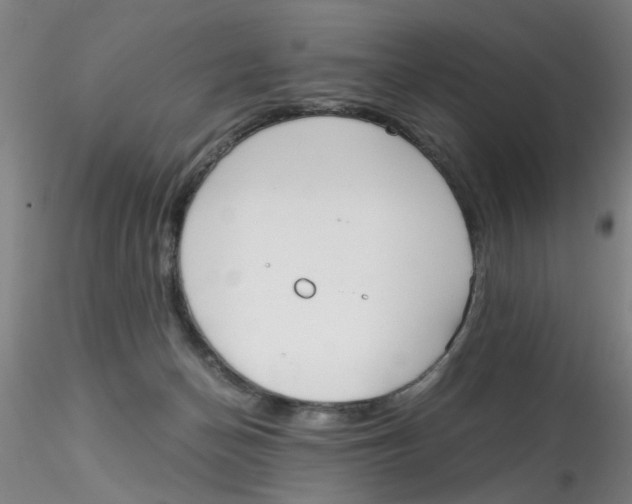 X0000115210174200911251516