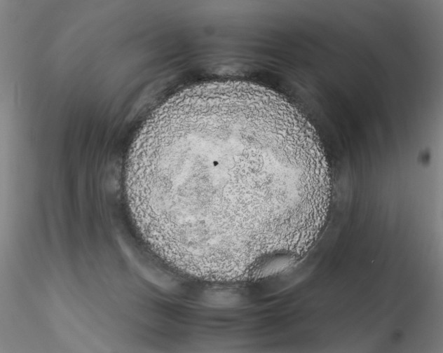 X0000115210175200911251516