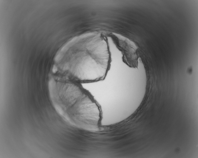 X0000115210177200911251516