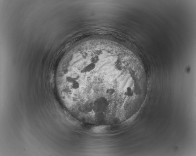 X0000115210178200911251516