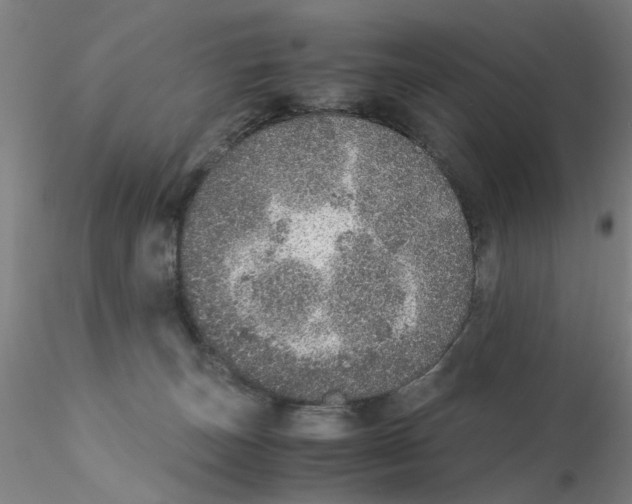 X0000115210179200911251516