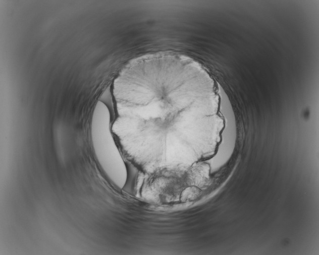 X0000115210181200911251516