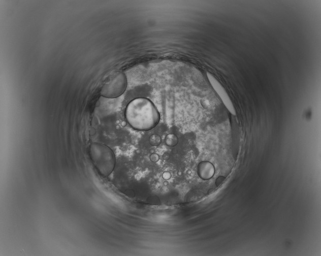 X0000115210182200911251516