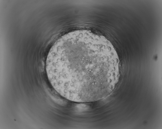 X0000115210183200911251516