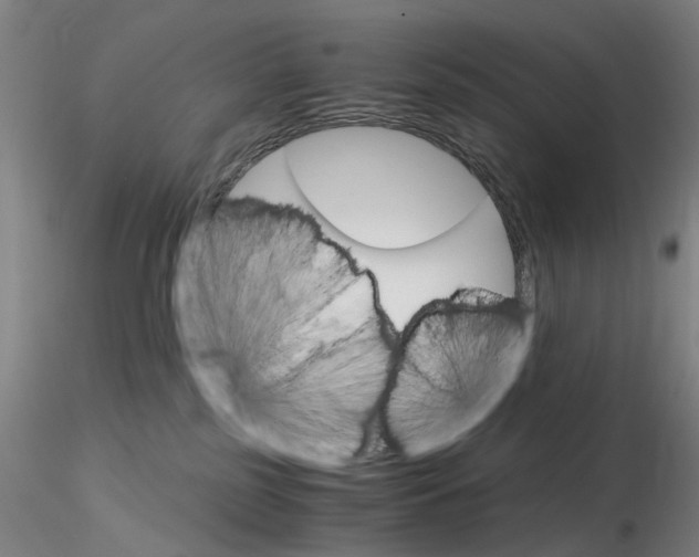 X0000115210185200911251516