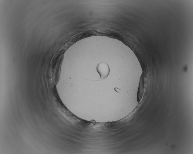 X0000115210186200911251516