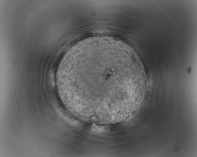 X0000115210187200911251516