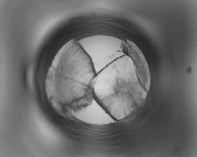 X0000115210189200911251516