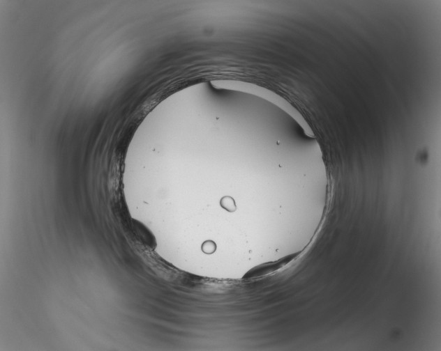 X0000115210190200911251516