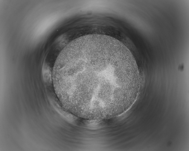 X0000115210191200911251517