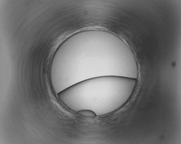 X0000115210193200911251516