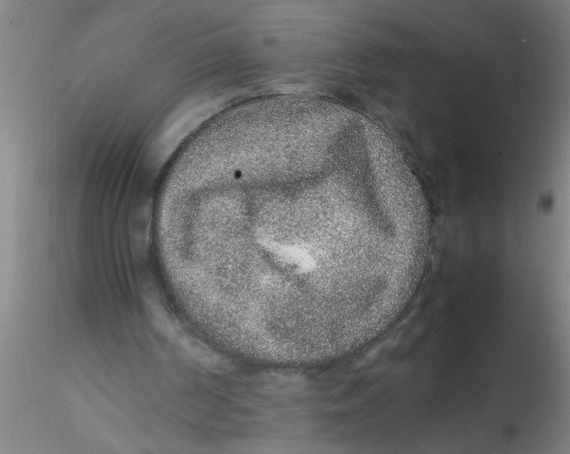 X0000115210194200911251516