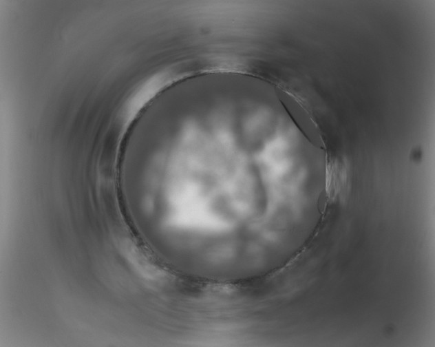 X0000115210195200911251516