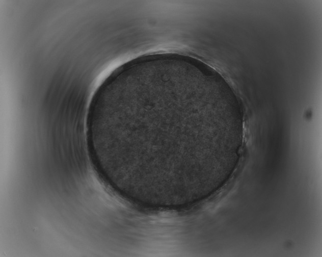 X0000115210196200911251516