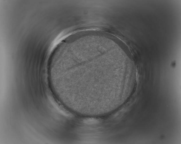 X0000115210198200911251516