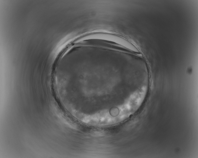 X0000115210199200911251516