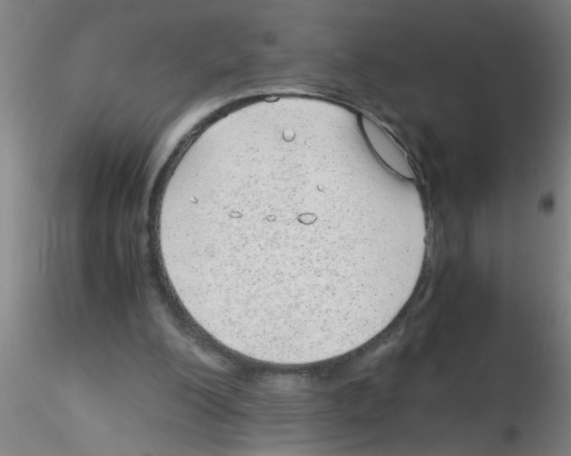 X0000115210200200911251516