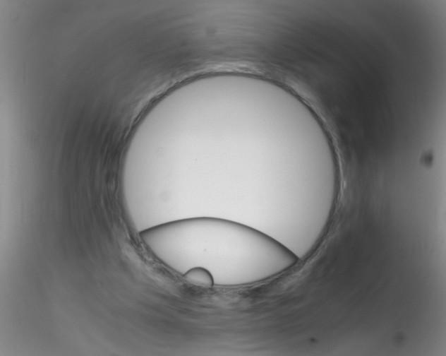 X0000115210201200911251516