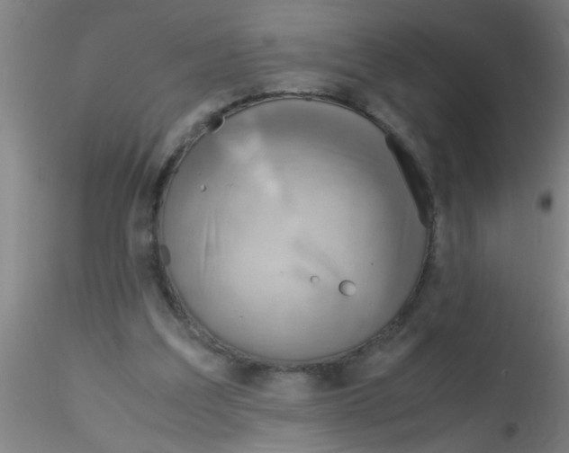 X0000115210203200911251516