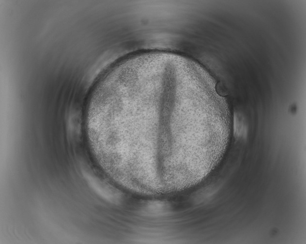 X0000115210204200911251516