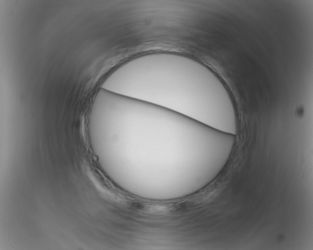 X0000115210205200911251516