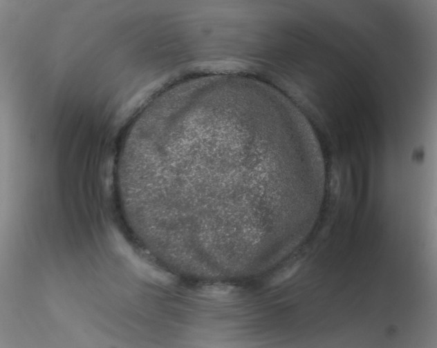 X0000115210206200911251516