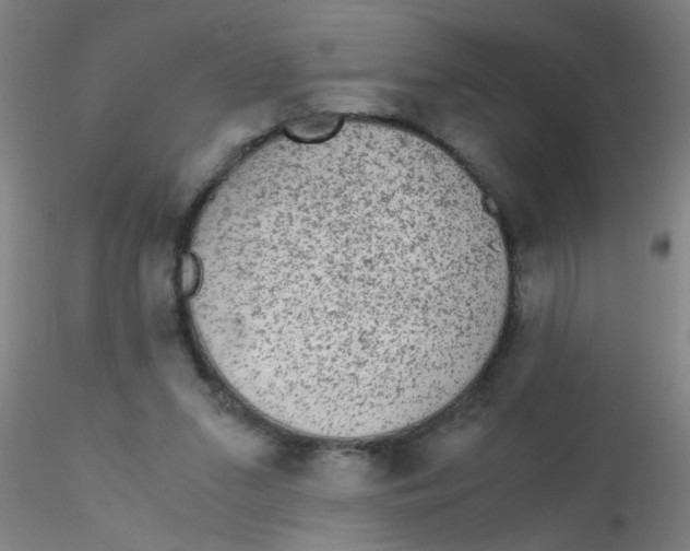 X0000115210207200911251515