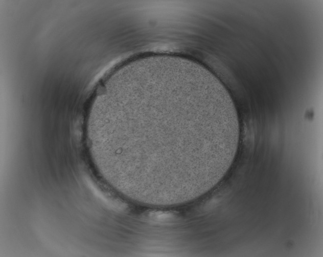 X0000115210208200911251515