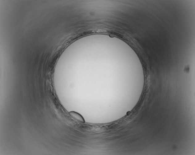 X0000115210209200911251515