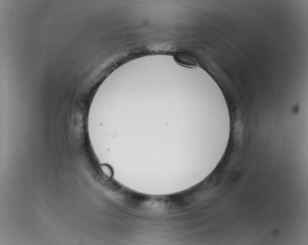 X0000115210211200911251515