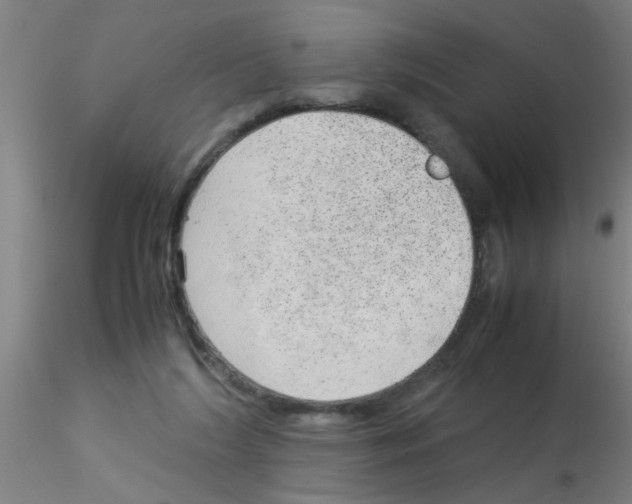 X0000115210212200911251515