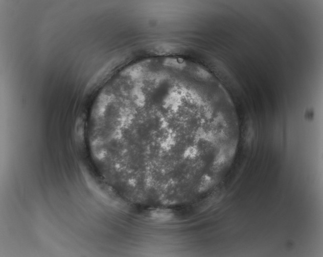 X0000115210214200911251515