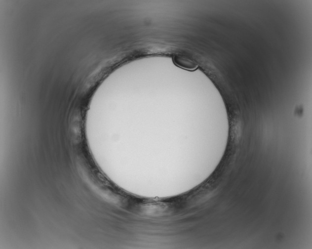 X0000115210215200911251515