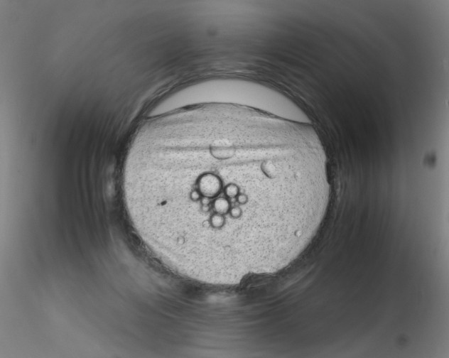 X0000115210216200911251515