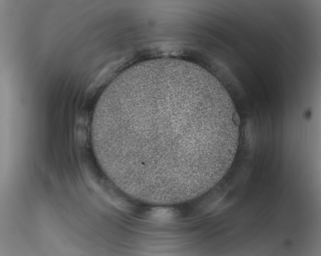 X0000115210218200911251515