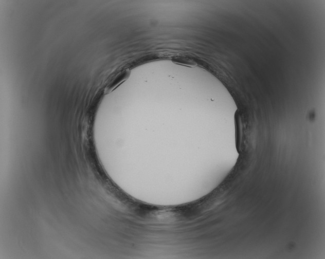 X0000115210219200911251515