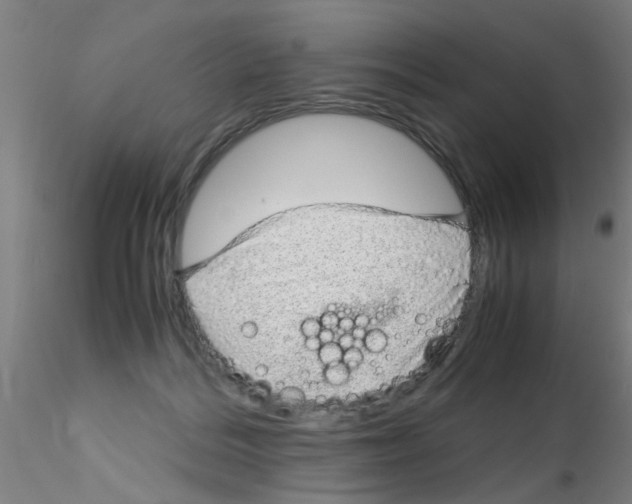 X0000115210220200911251515