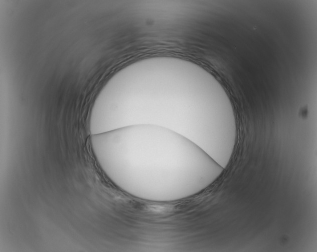 X0000115210221200911251515