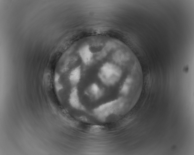 X0000115210222200911251515