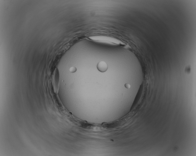 X0000115210223200911251515