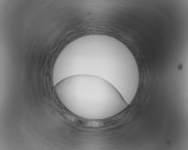 X0000115210225200911251515