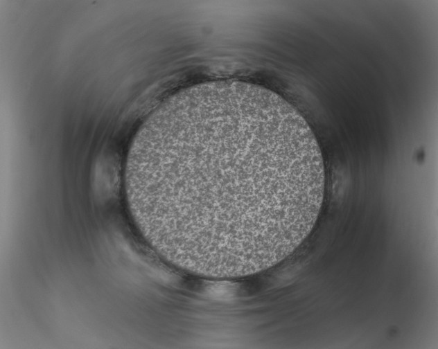 X0000115210226200911251515