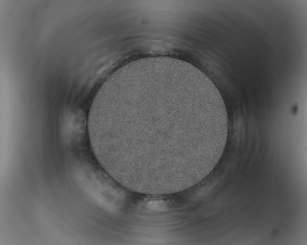 X0000115210228200911251515