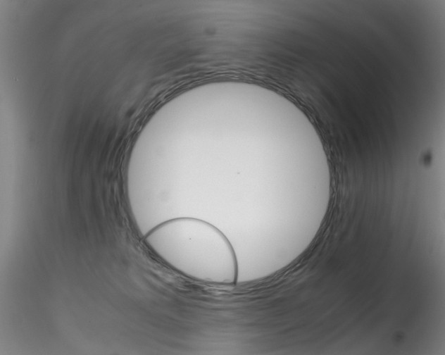 X0000115210229200911251515