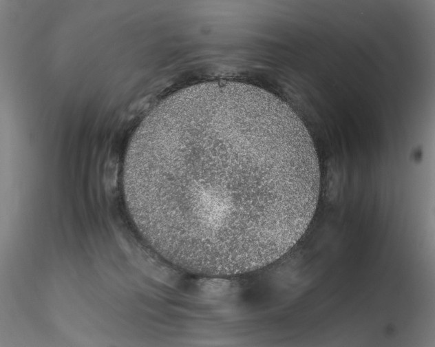 X0000115210230200911251515