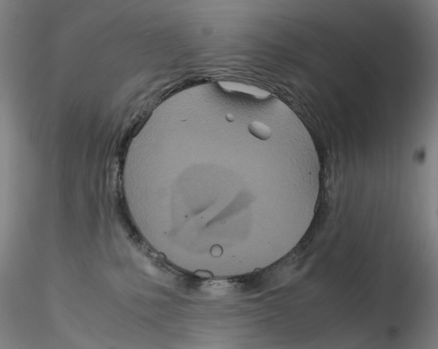 X0000115210231200911251515