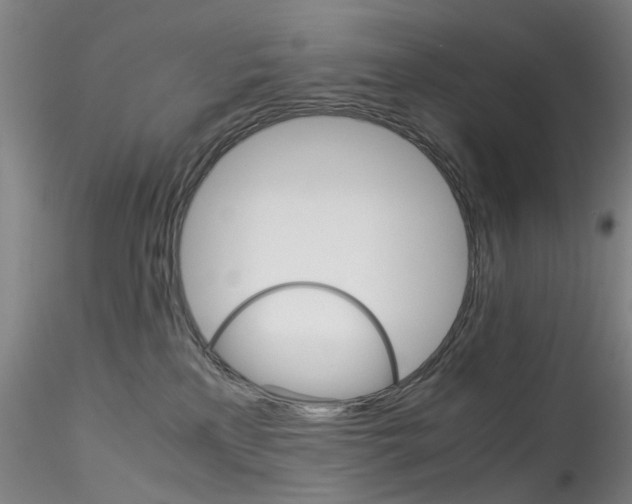 X0000115210233200911251515